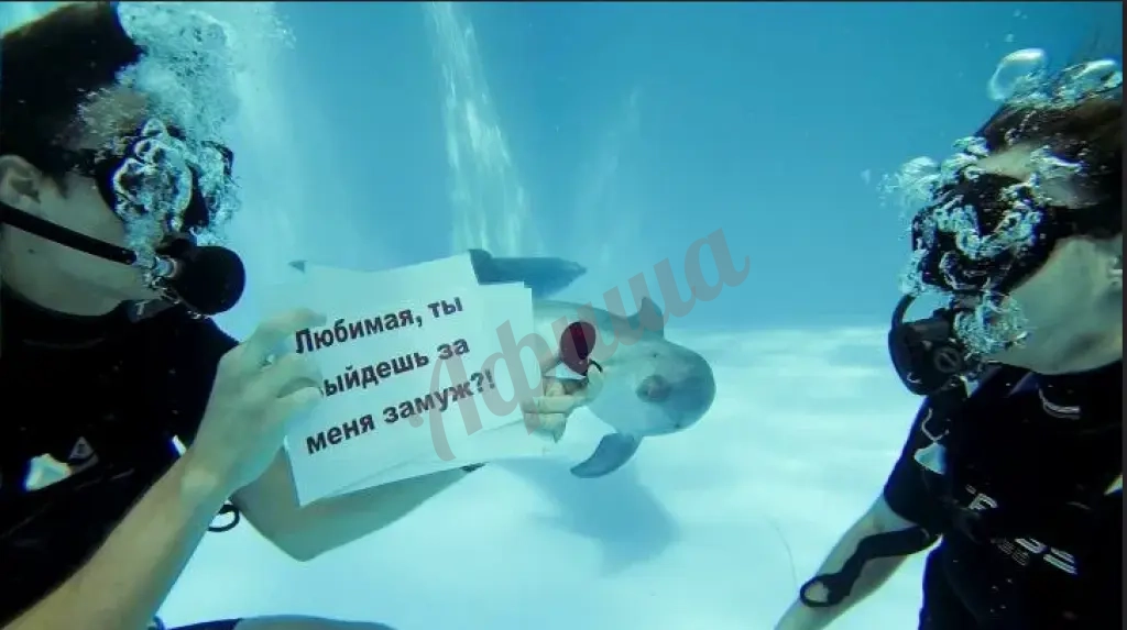 Предложение руки и сердца под водой