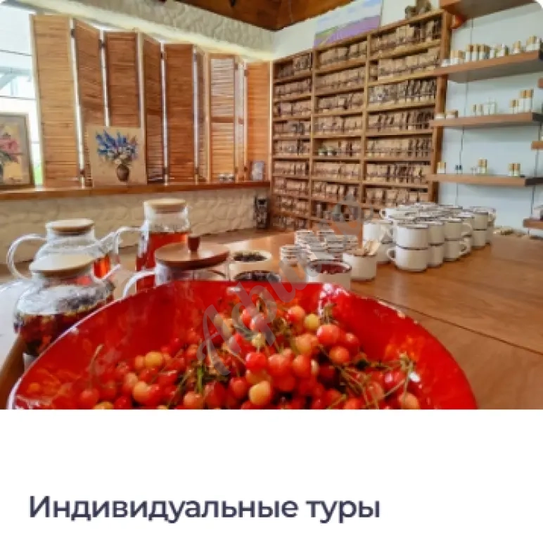 Экскурсия с экскурсоводом (минивен)
