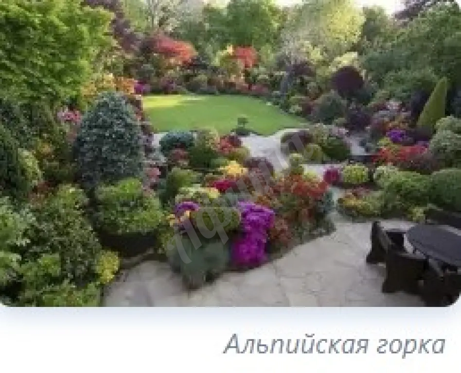 Устройство цветников : посадка однолетних и многолетних цветов